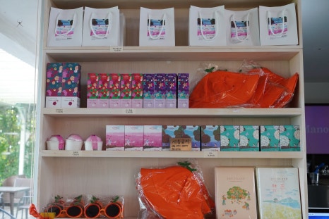 제주 핑크뮬리 명소 마노르블랑