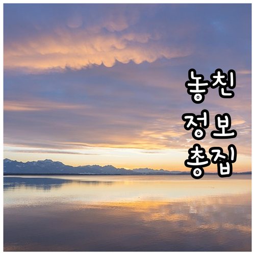 2025 영월군 가정위탁아동 심리치료..