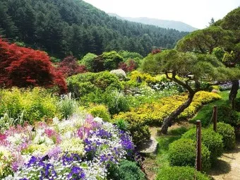 아침고요수목원 입장료 근처 맛집 펜션 추천_21