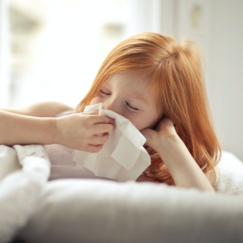 인플루엔자 독감 예방 접종