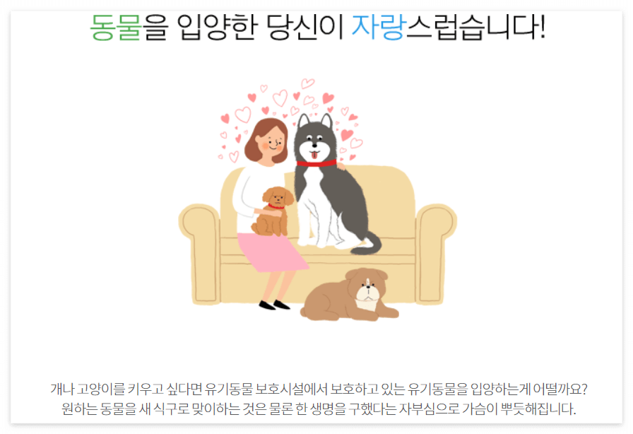 유기동물 입양 캠페인 @국가동물정보보호시스템