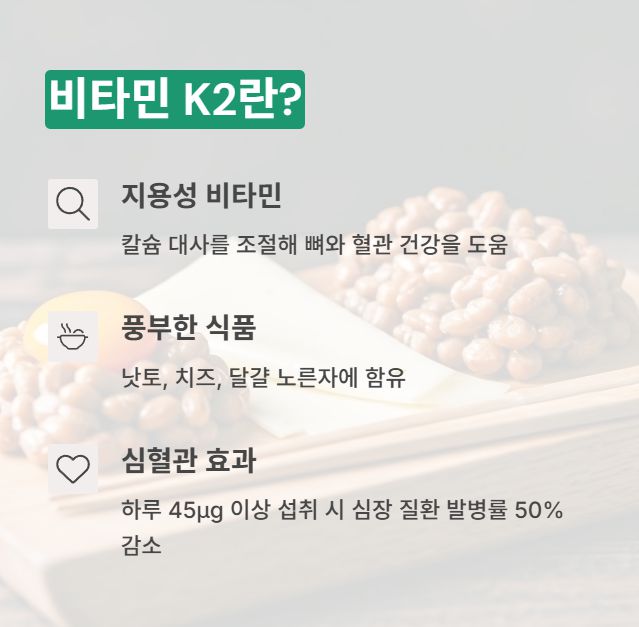 비타민 k2 정의
