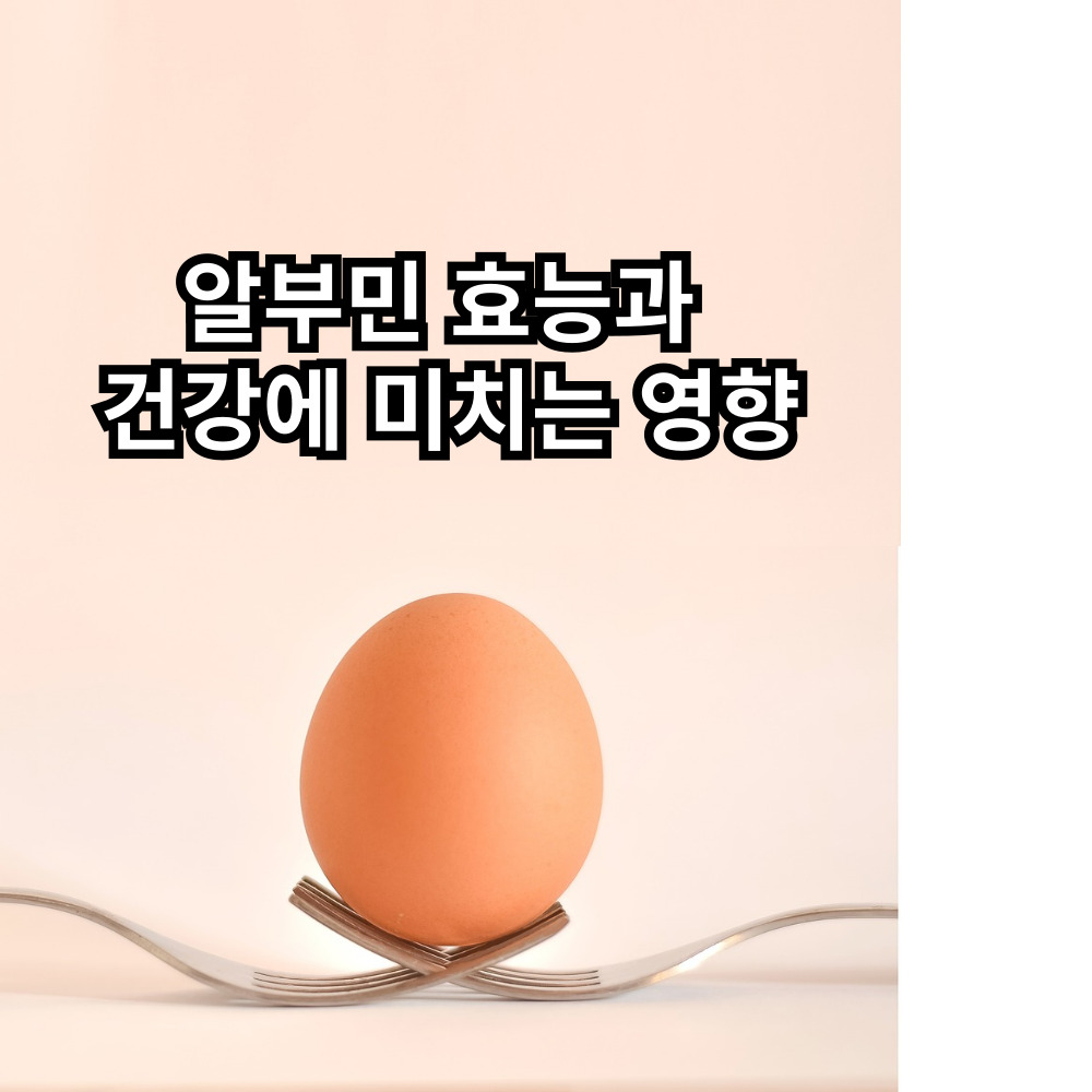 알부민 효능과 건강에 미치는 영향