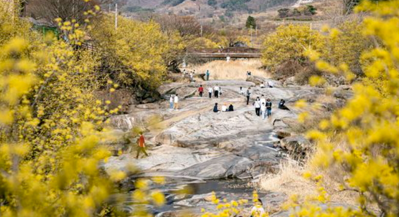 산수유마을