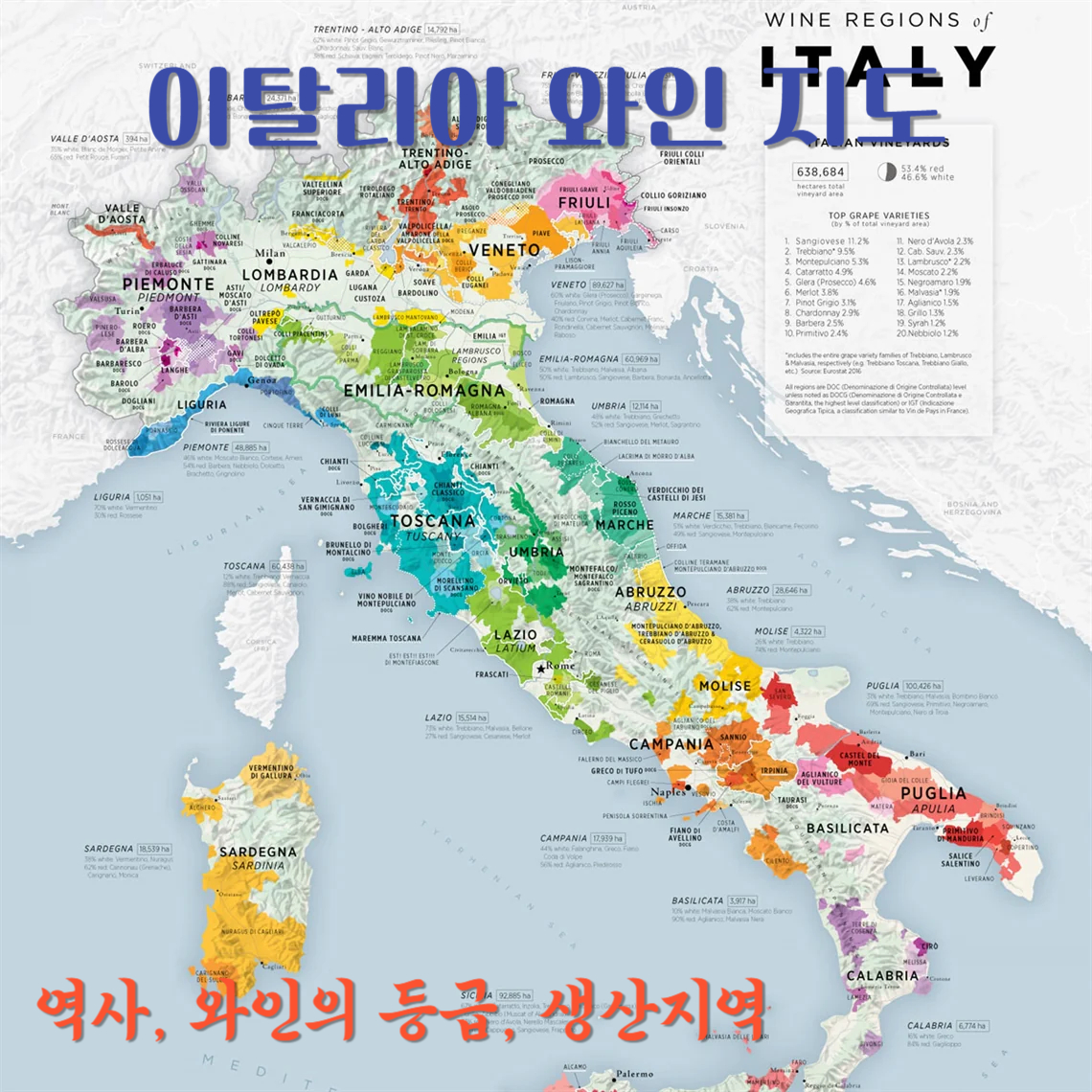 이탈리아 와인 지도