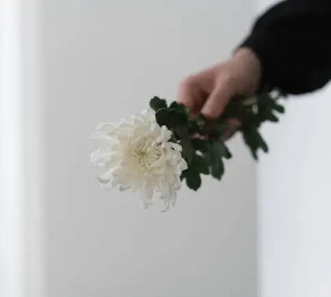 장례식장 조문예절