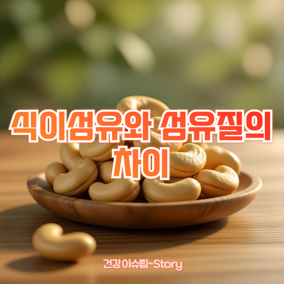 식이섬유와 섬유질의 차이