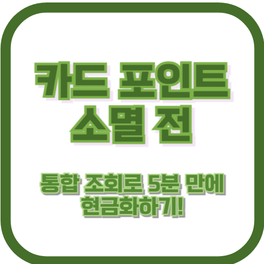 카드 포인트 소멸 전, 통합 조회로 5분 만에 현금화하기!