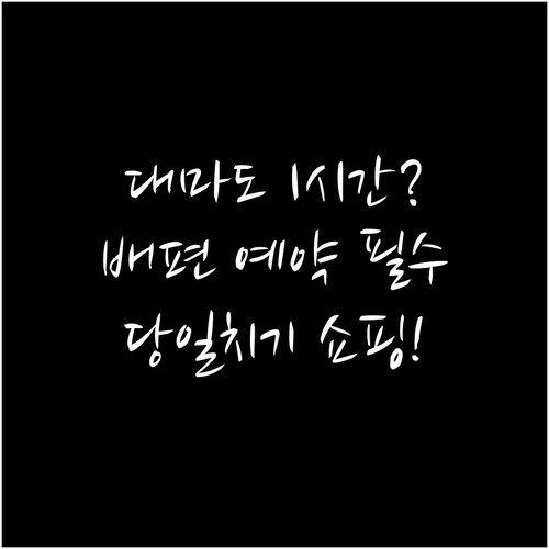 부산에서 1시간 대마도 당일치기 총정..