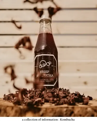 kombucha