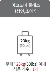 국제선 미주외 구간 이코노미 클래스