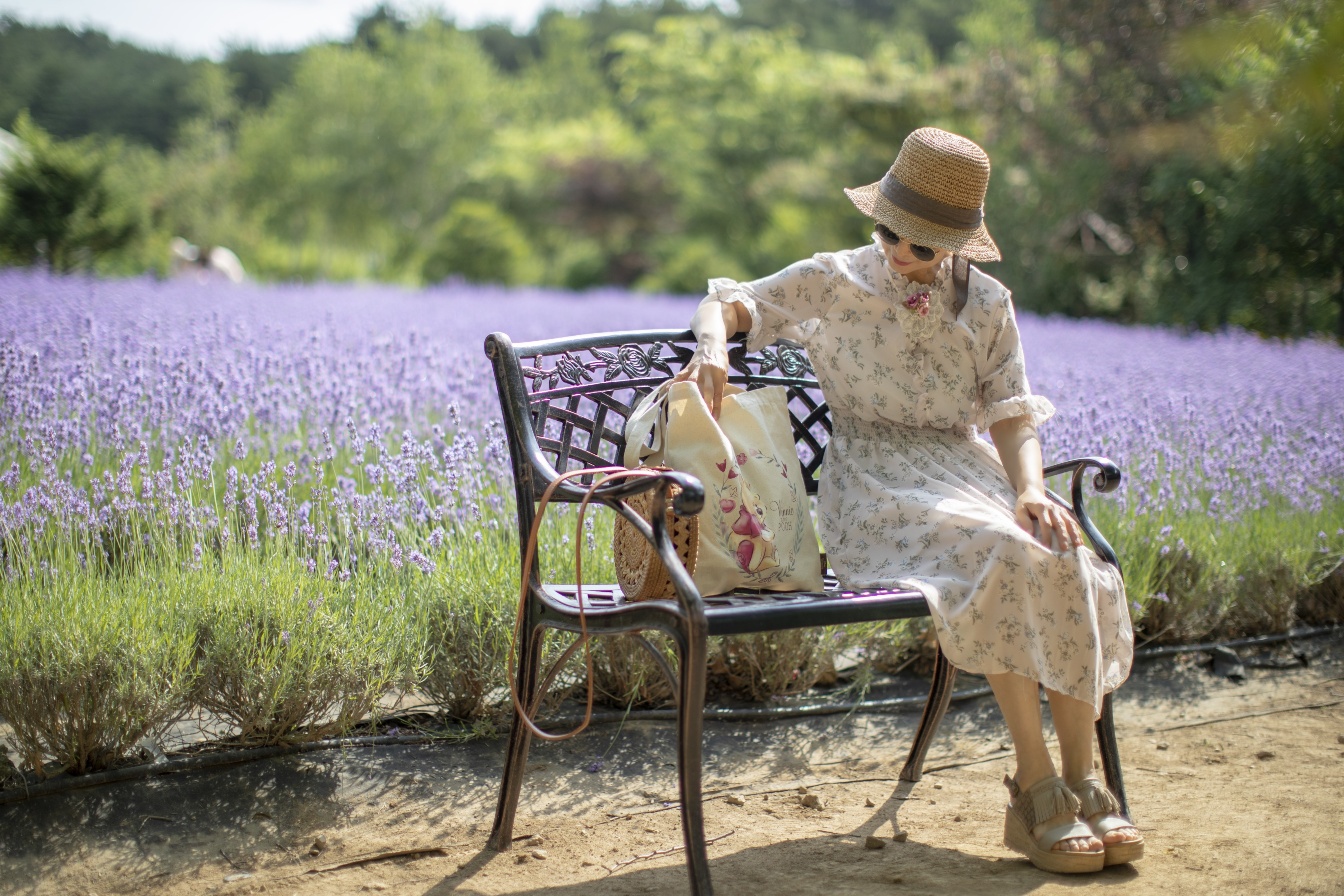 봄의 끝자락에서 여름의 향기로, 강원도 고성 라벤더 축제 미리보기: 인생샷 명소와 여행 꿀팁 대방출