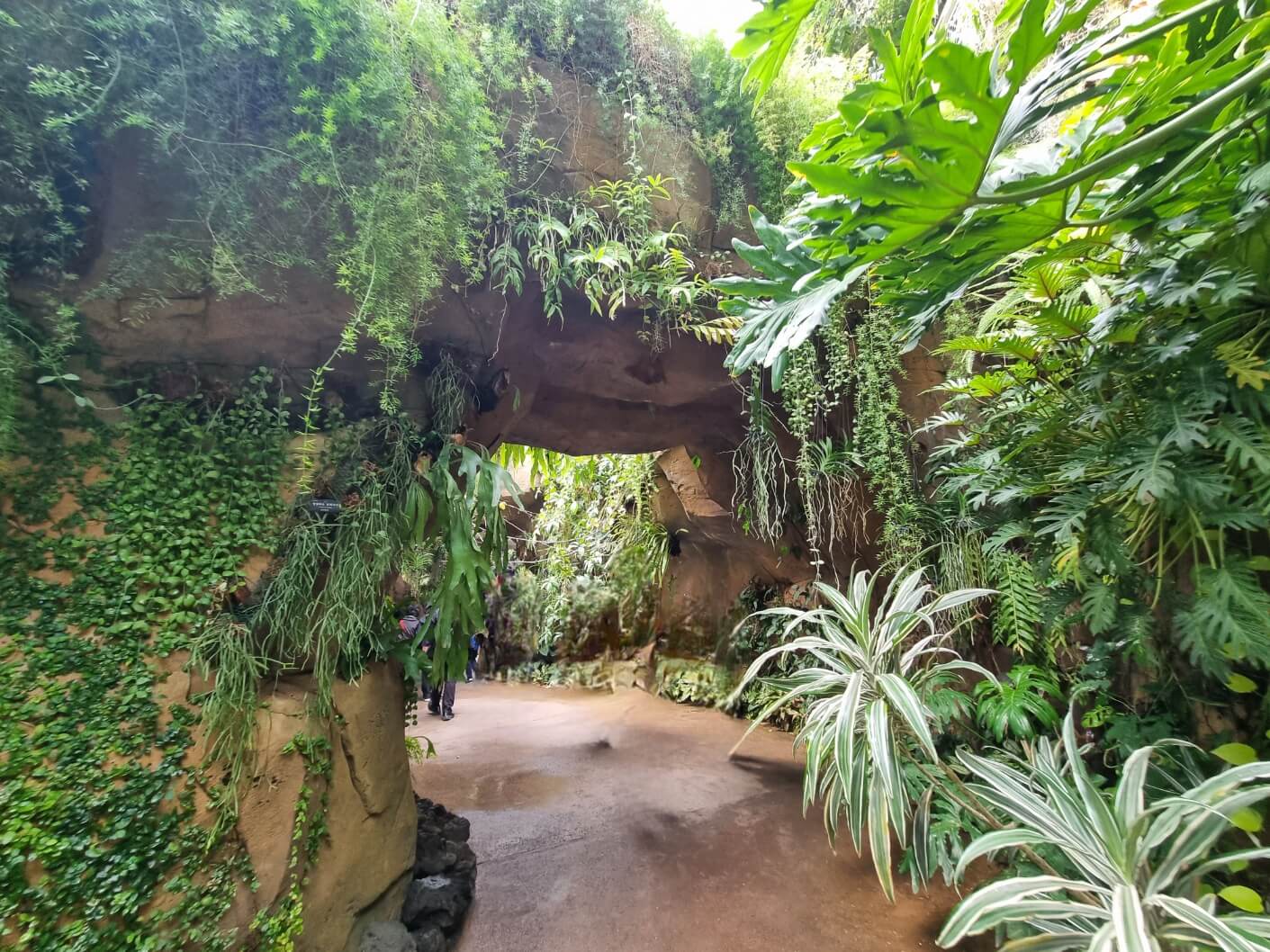 서울식물원 입장료