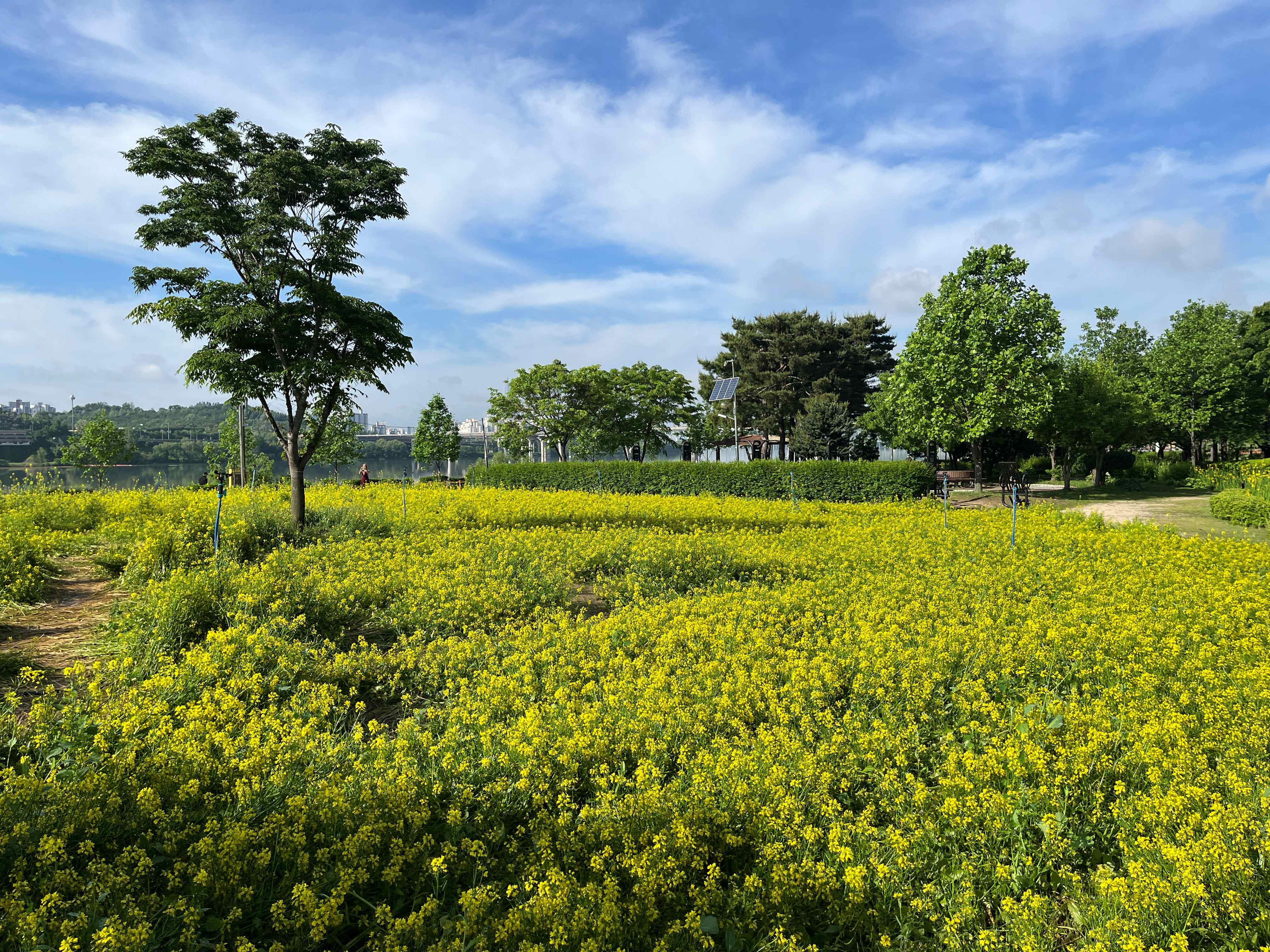 구리한강시민공원