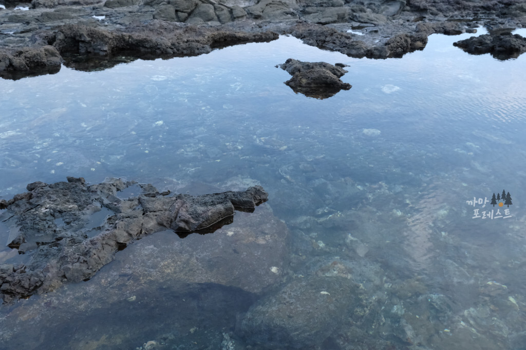 서귀포 대평포구 투명한 바닷물