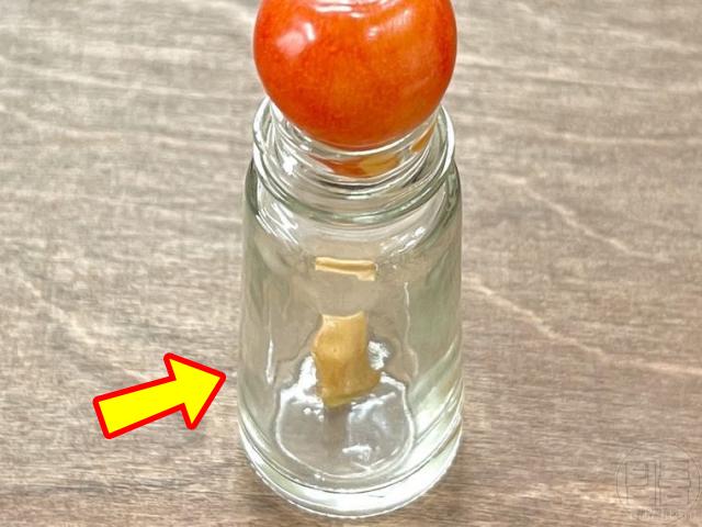 체리 씨 빼기 알아두면 좋은 생활지혜