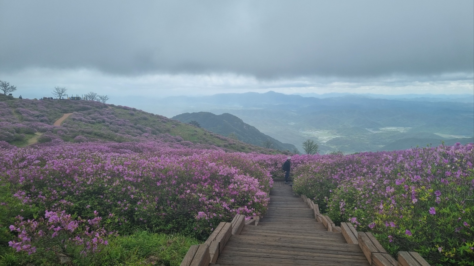 합천 황매산 철쭉20