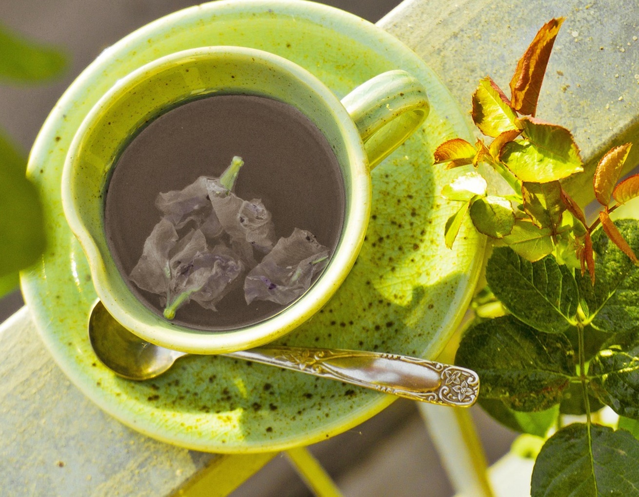 인생이 늦은 게 아니라&amp;#44; 이제야 내 속도가 보이는 나이!