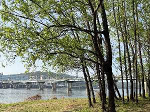 여의도 한강공원 아이랑 가면 좋은 이유 3가지