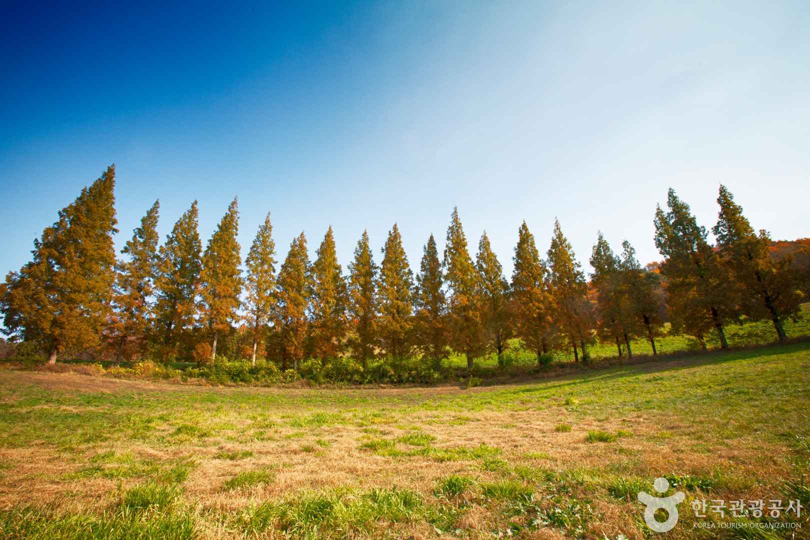 용유지(용비저수지)