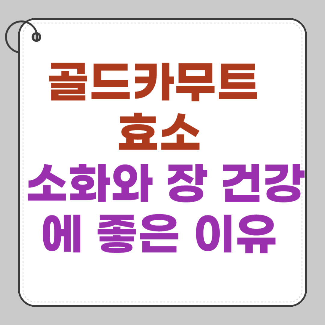 골드카무트-효소-소화와-장-건강에-좋은-이유