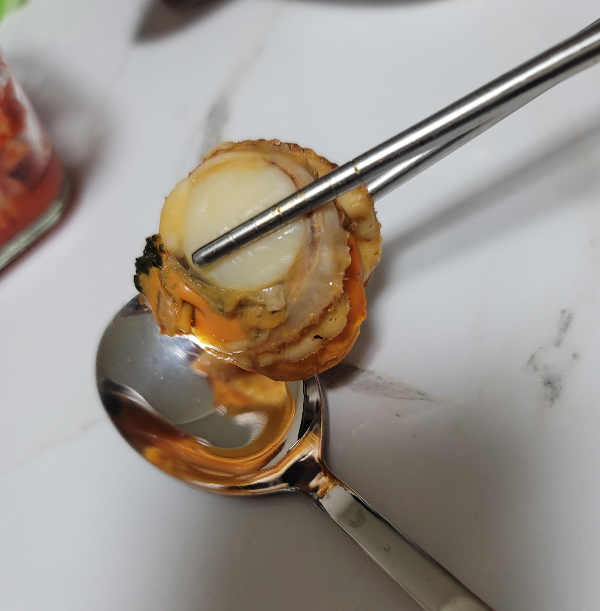 비단가리비 알 크기 비교