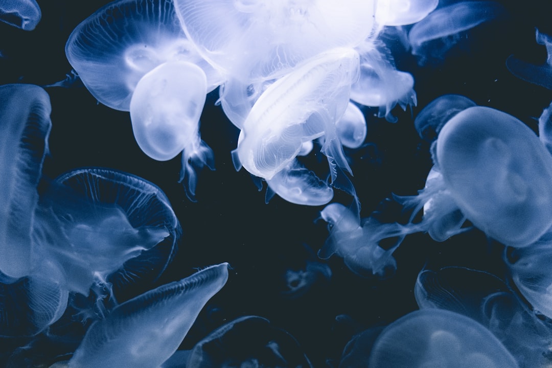 Reactive Oxygen Species