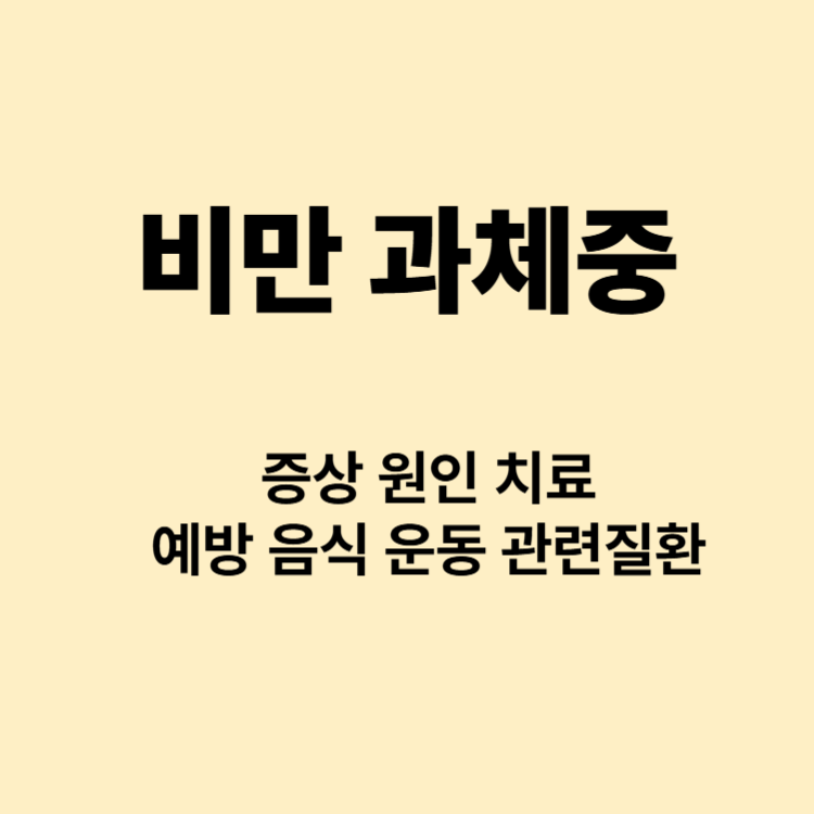 다이어트 과체중 비만의 기준 원인 예방 음식 운동