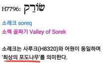 소렉 골짜기 원어 사진