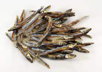 멸치 효능 및 영양성분&amp;#44; 멸치 가격