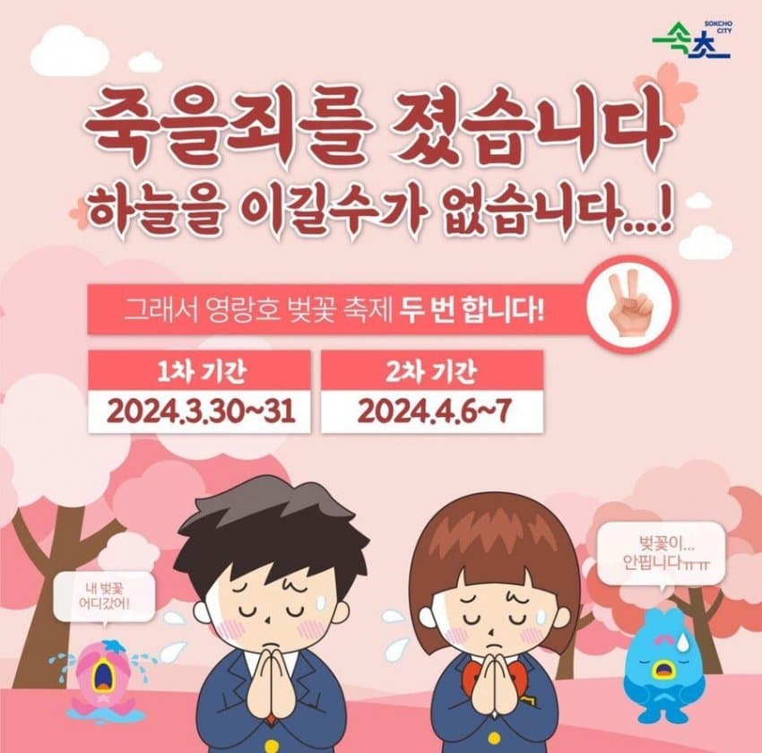 속초 벚꽃축제 사진2