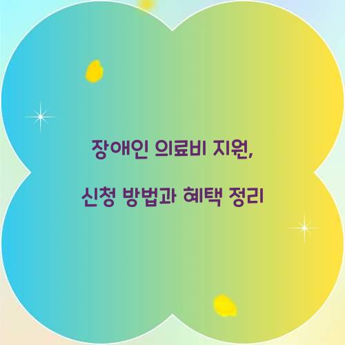 장애인 의료비 지원