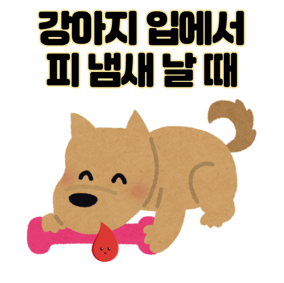 강아지 입에서 피 냄새 날 때 3가지 이유와 관리법 총정리