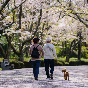 노후자금 계산기