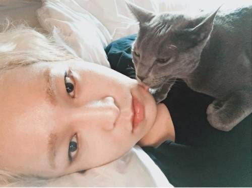 남태현 음주운전 실형 1년 선고 결과: 위너 탈퇴부터 마약, 재범 논란까지 총정리