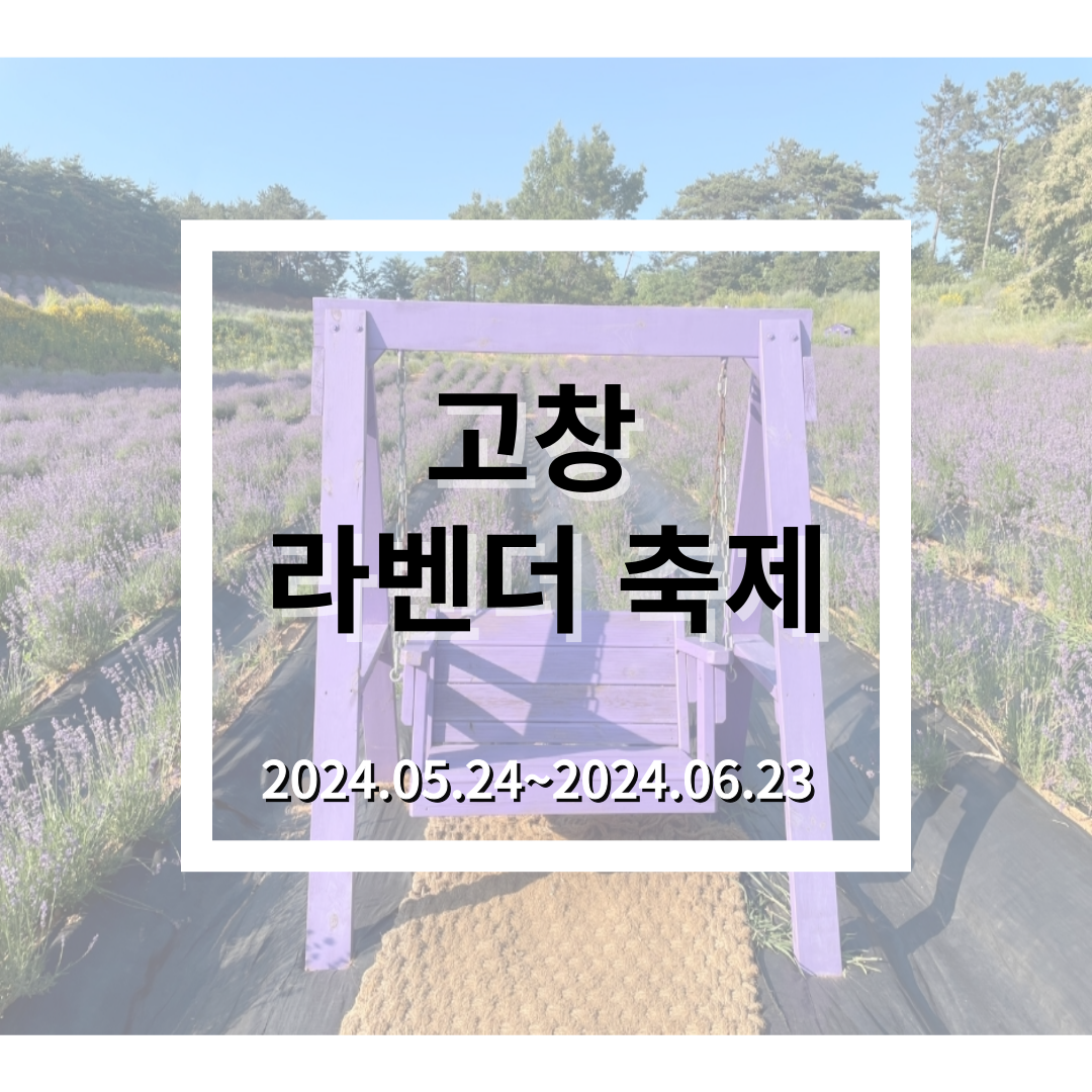6월 꽃축제 고창 라벤더축제와 관광 명소