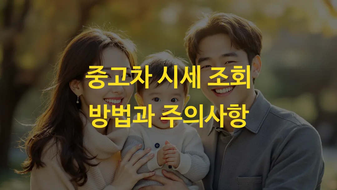 중고차 시세 조회 방법과 주의사항