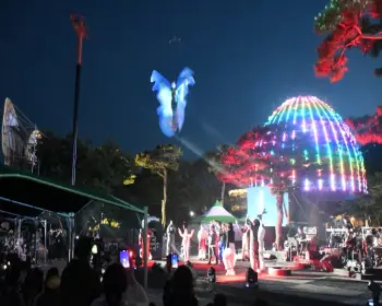 함평나비축제_8