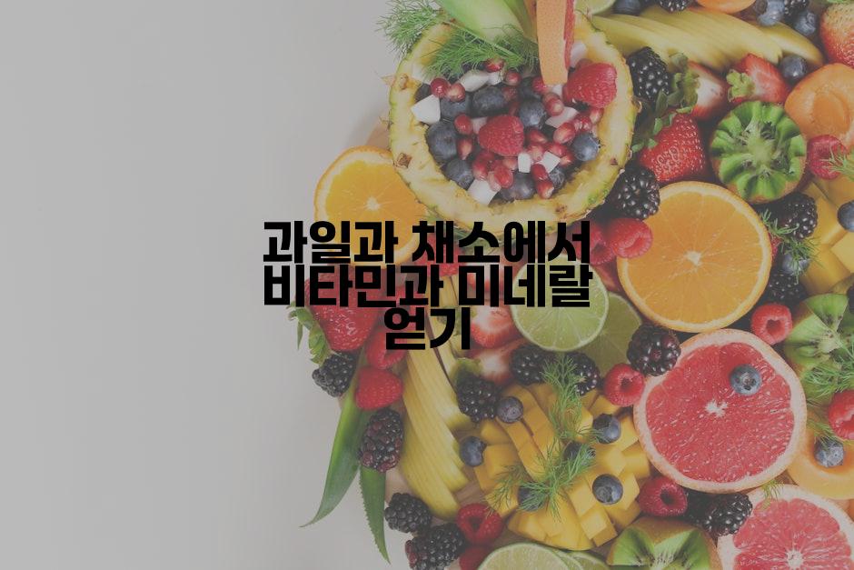 과일과 채소에서 비타민과 미네랄 얻기