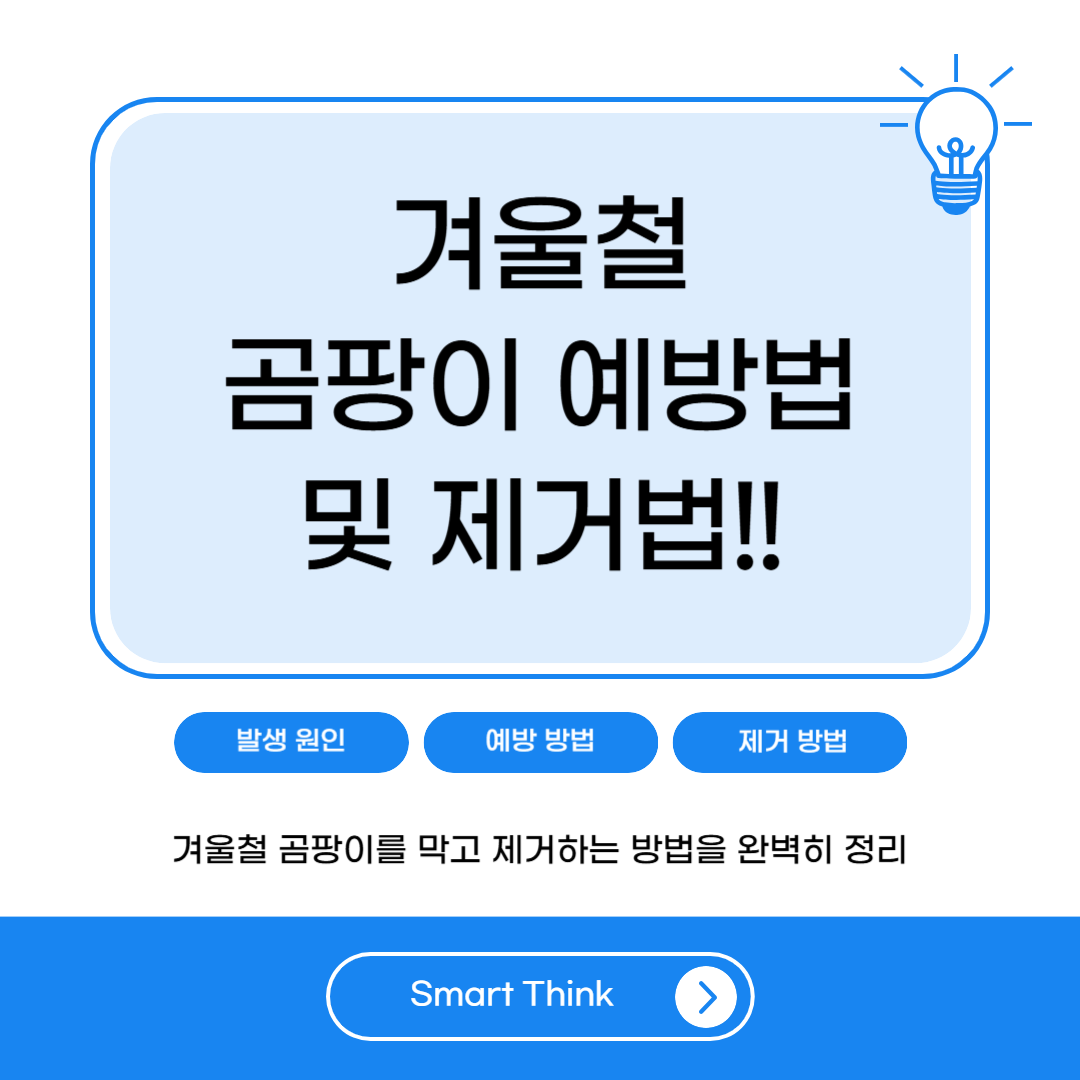 겨울철 곰팡이 예방법 및 제거법 - 완벽 정리