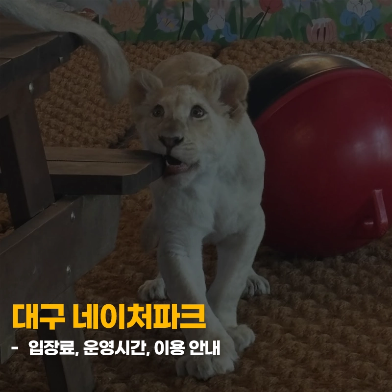 대구-네이처파크-입장료-운영시간-이용