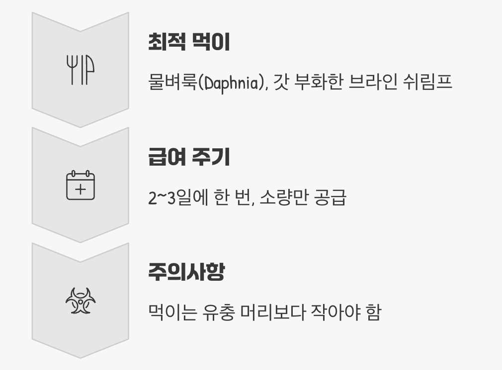 아주 작은 사냥꾼의 식사 시간