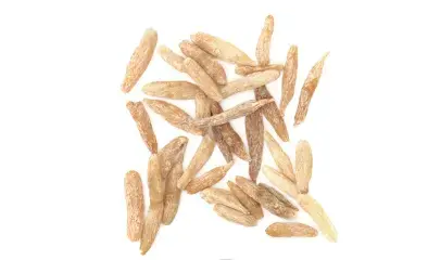 맥문동 효능 및 부작용