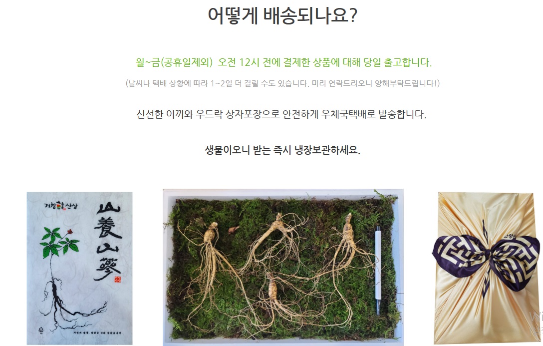 산양삼-어디-거창-홍천-주문-택배