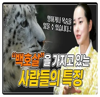백호살 여자 뜻 사주 자료집_18