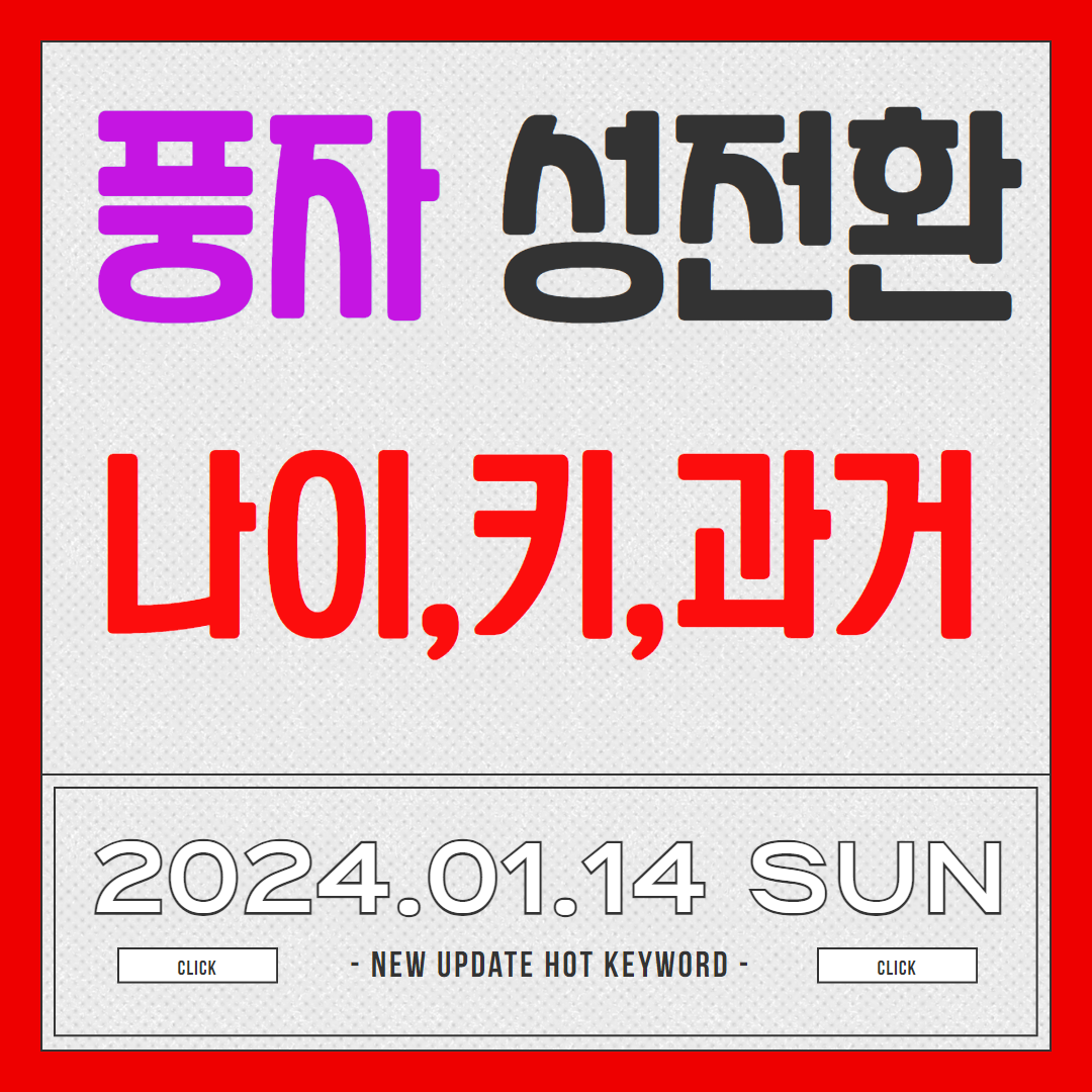 풍자 성전환