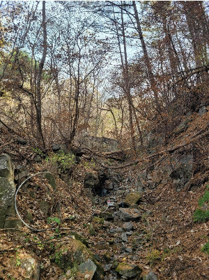 송라란정상이정표