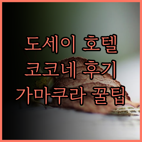 도세이 호텔 코코네 카마쿠라 완벽 후