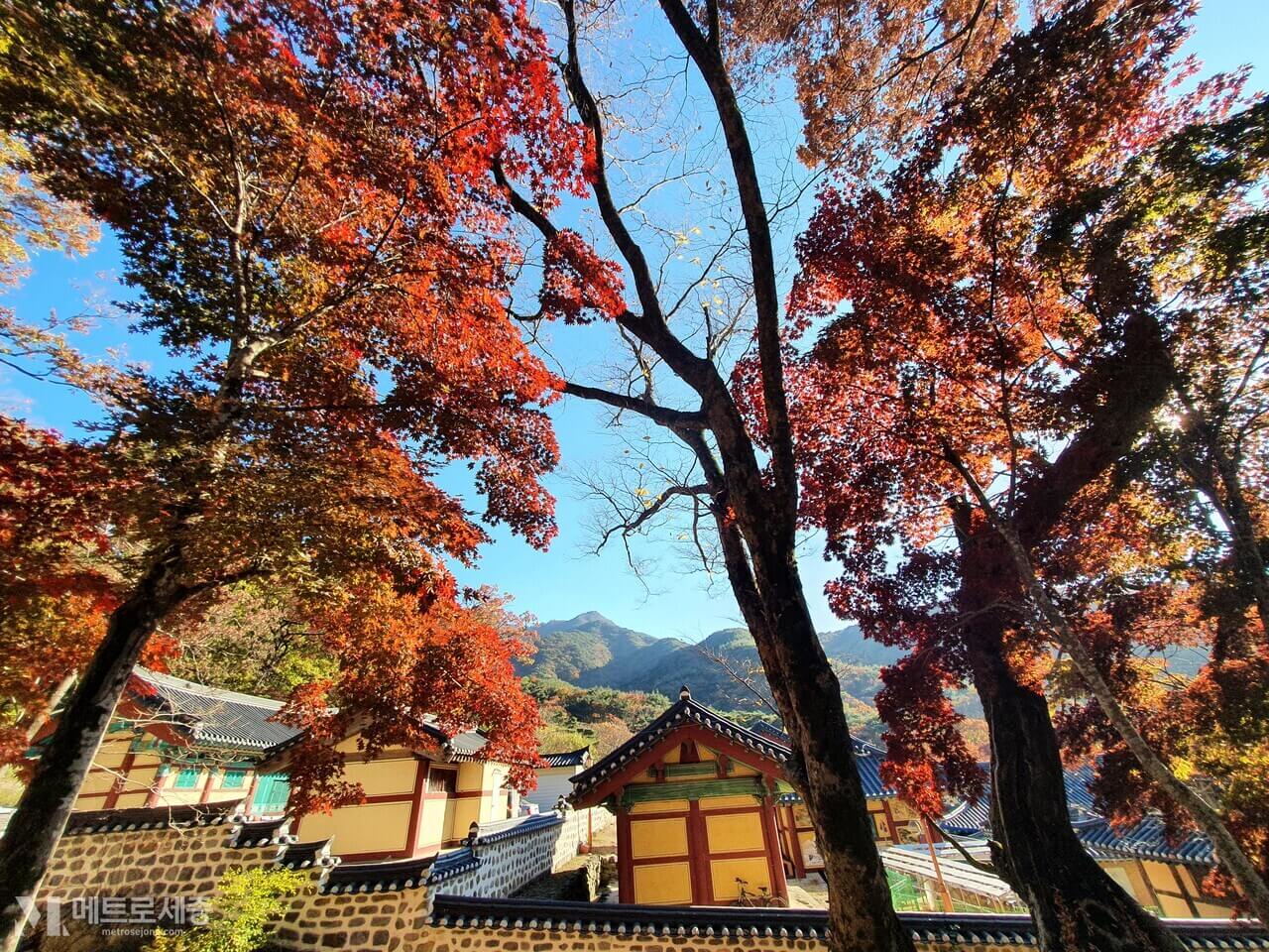 계룡산 갑사 (공주)