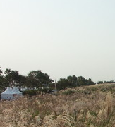 전국 수목원 BEST 5 – 자연의 품으로 떠나는 진짜 힐링 여행